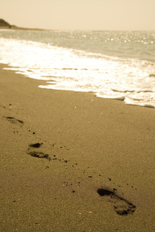 guadalmansa playa (20)