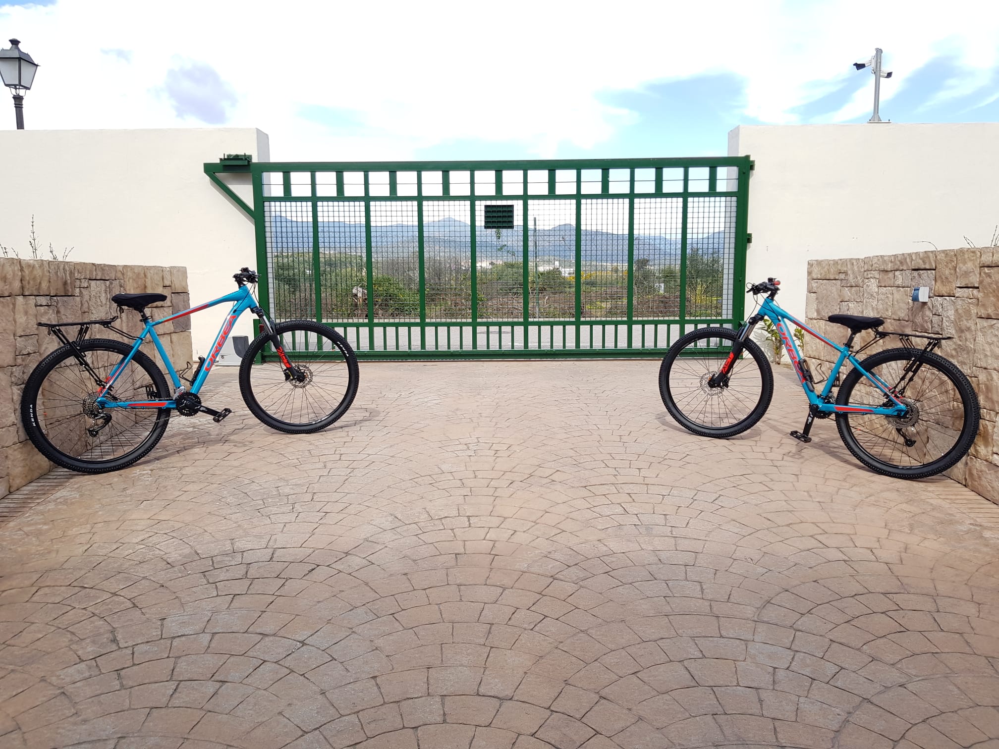 WhatsApp Image 2022-03-11 at 01.38.23