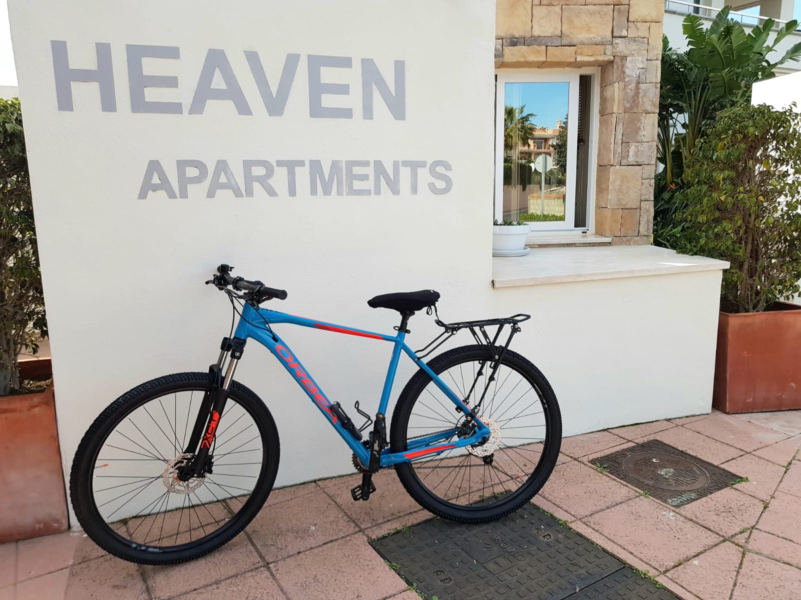 WhatsApp Image 2022-03-11 at 11.08.36 (1)